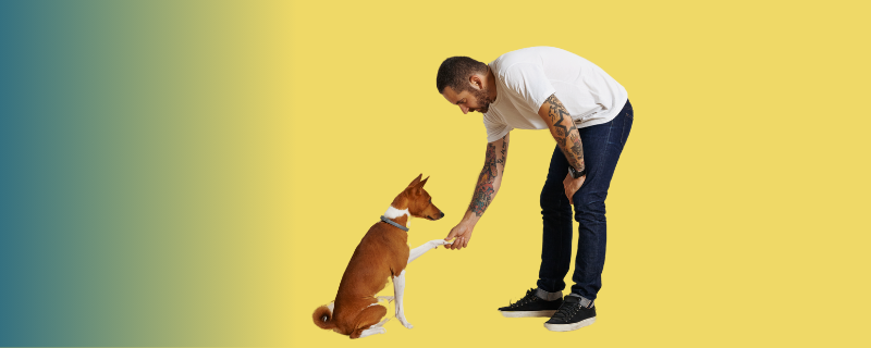 Salaire : combien gagne un éducateur canin en 2026 ?